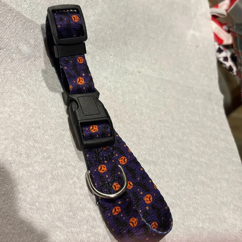 Medium - Large Halloween Dog or cat collar